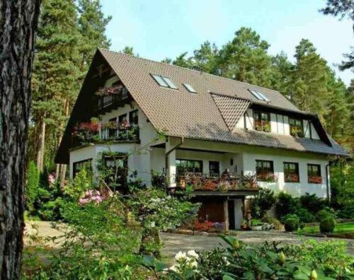 Pension Tannenspitze Wittenberg Bagian luar foto
